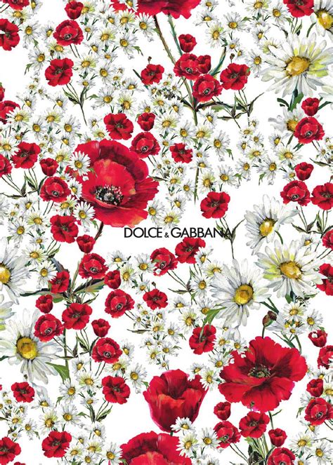 dolce and gabbana flower.